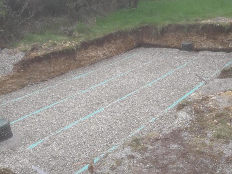 Resized_20210315_145831_7650 Resized_20210315_145831_7650